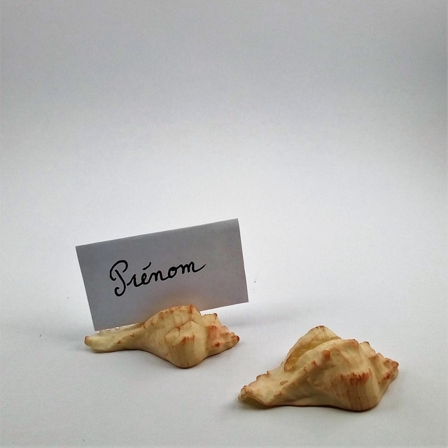 marque place coquillage 2